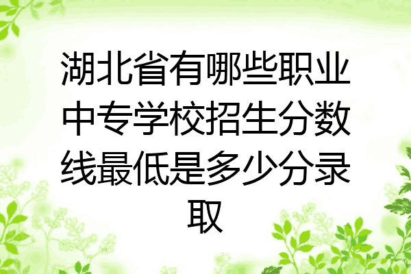 湖北省有哪些职业中专学校招生分数线最低是多少分录取
