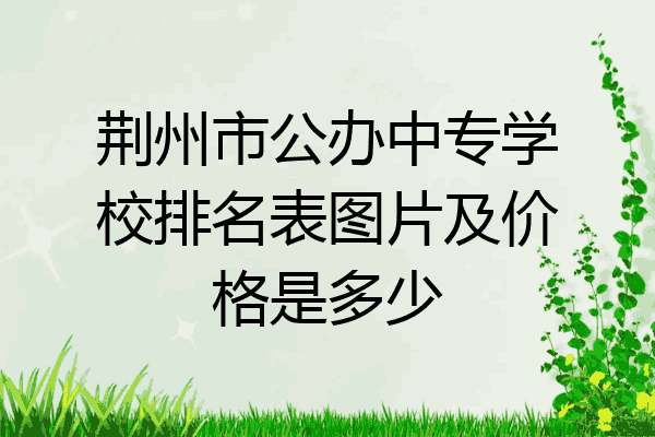 荆州市公办中专学校排名表图片及价格是多少