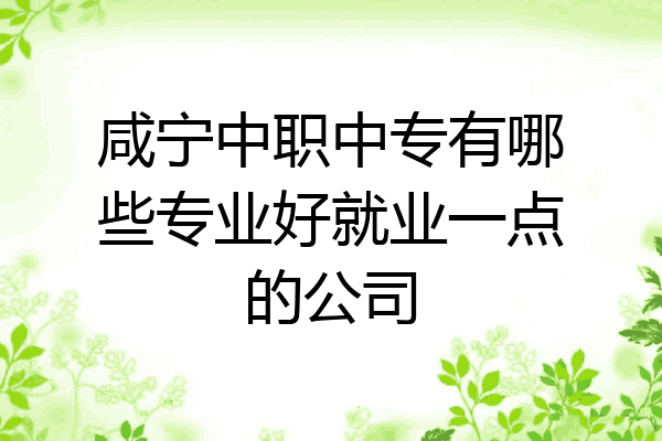 咸宁中职中专有哪些专业好就业一点的公司