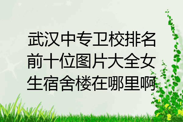武汉中专卫校排名前十位图片大全女生宿舍楼在哪里啊