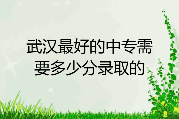 武汉最好的中专需要多少分录取的