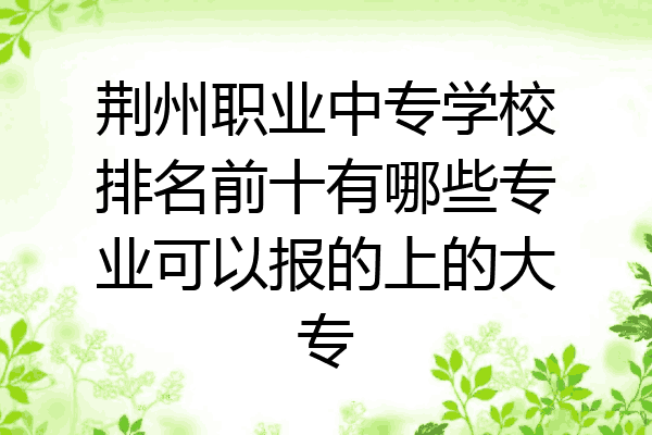 荆州职业中专学校排名前十有哪些专业可以报的上的大专