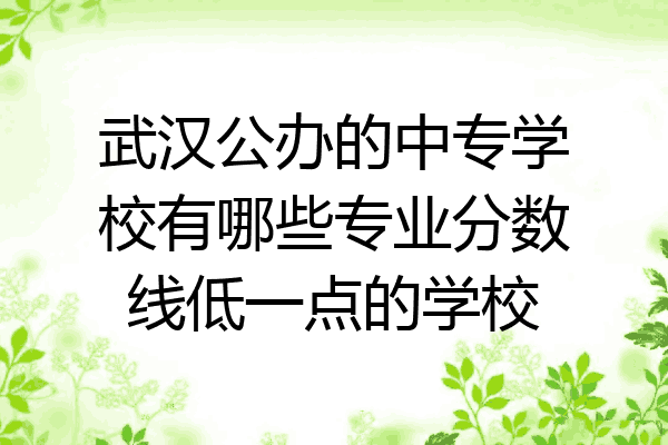 武汉公办的中专学校有哪些专业分数线低一点的学校