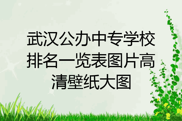 武汉公办中专学校排名一览表图片高清壁纸大图