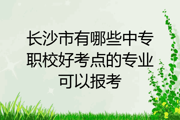 长沙市有哪些中专职校好考点的专业可以报考
