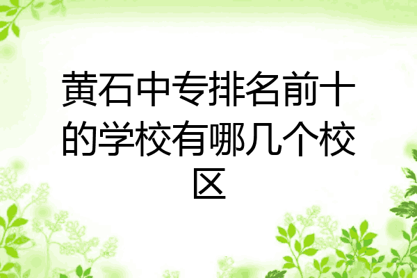 黄石中专排名前十的学校有哪几个校区