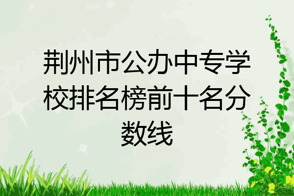 荆州市公办中专学校排名榜前十名分数线