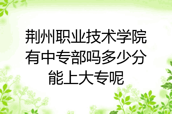 荆州职业技术学院有中专部吗多少分能上大专呢