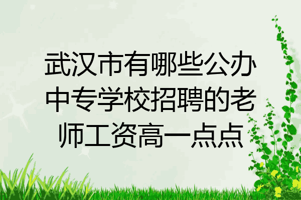 武汉市有哪些公办中专学校招聘的老师工资高一点点