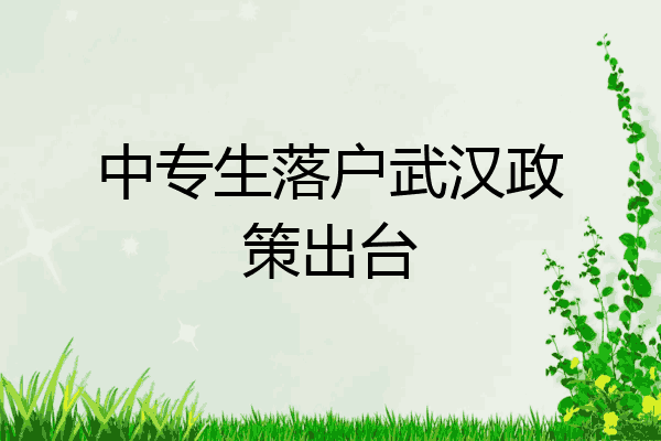 中专生落户武汉政策出台