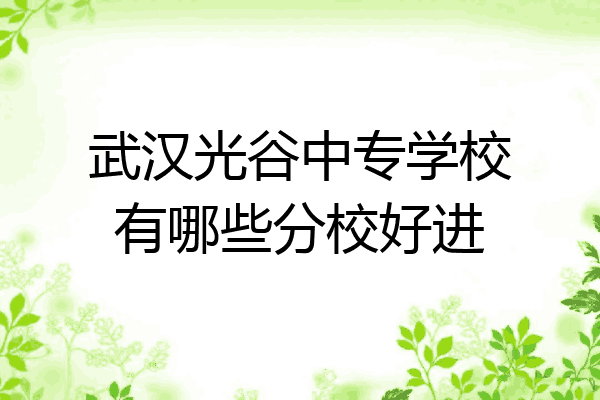 武汉光谷中专学校有哪些分校好进