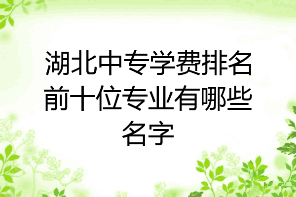 湖北中专学费排名前十位专业有哪些名字