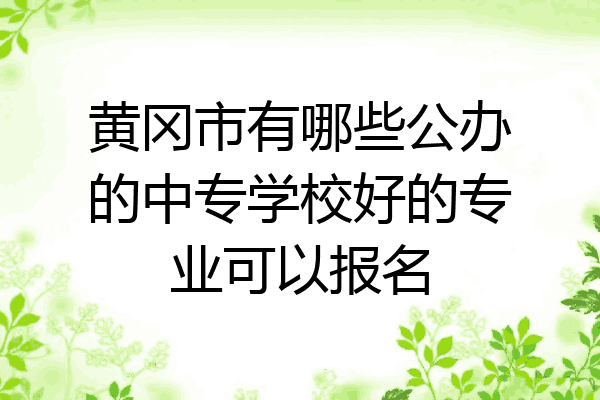 黄冈市有哪些公办的中专学校好的专业可以报名