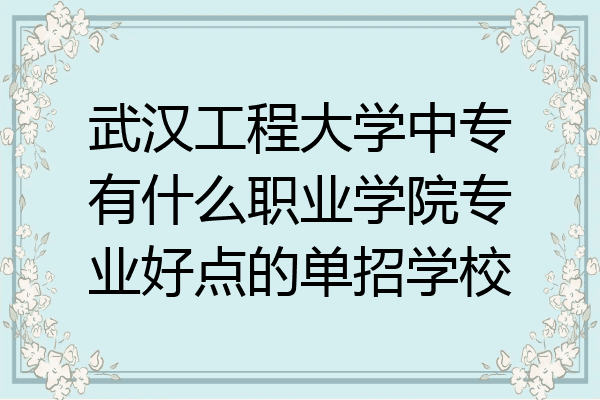 武汉工程大学中专有什么职业学院专业好点的单招学校