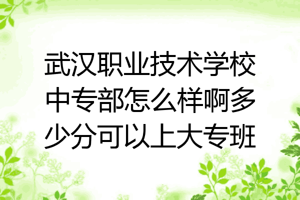 武汉职业技术学校中专部怎么样啊多少分可以上大专班