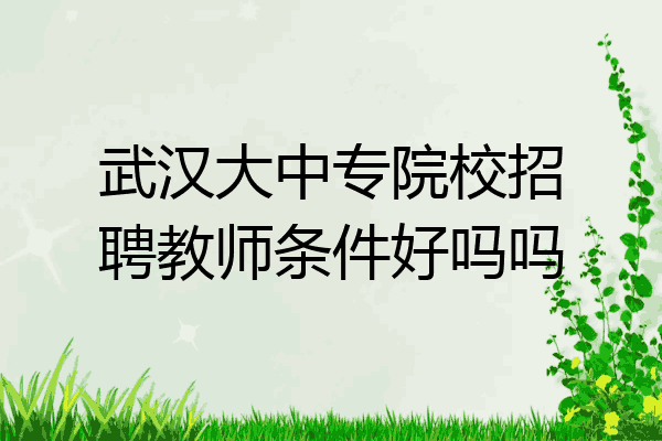 武汉大中专院校招聘教师条件好吗吗