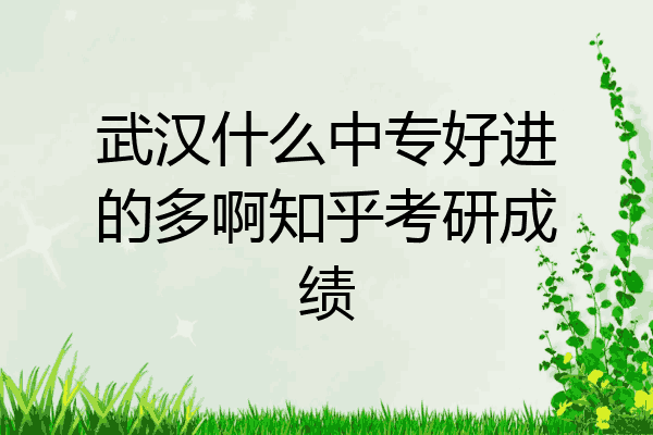 武汉什么中专好进的多啊知乎考研成绩