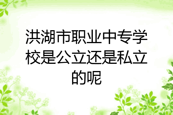 洪湖市职业中专学校是公立还是私立的呢