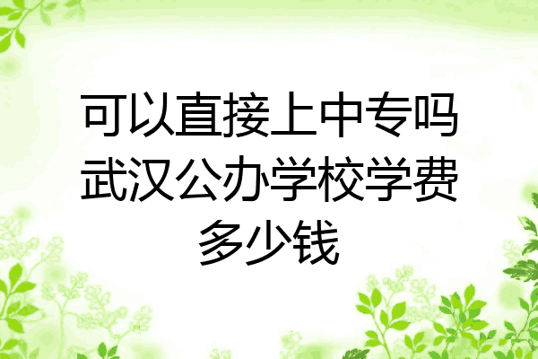 可以直接上中专吗武汉公办学校学费多少钱