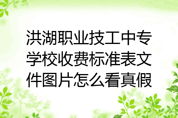 洪湖职业技工中专学校收费标准表文件图片怎么看真假