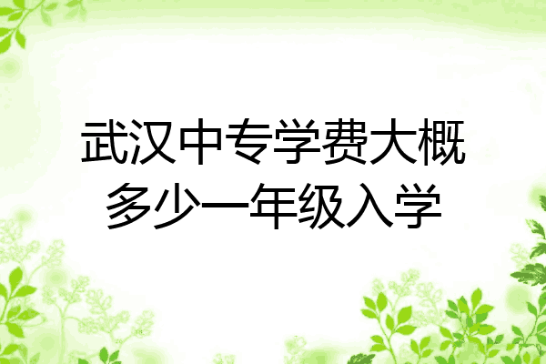 武汉中专学费大概多少一年级入学