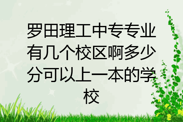 罗田理工中专专业有几个校区啊多少分可以上一本的学校