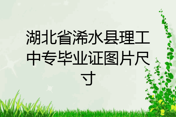 湖北省浠水县理工中专毕业证图片尺寸