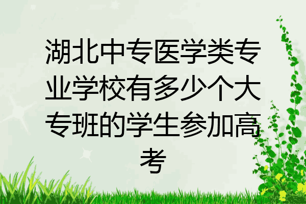 湖北中专医学类专业学校有多少个大专班的学生参加高考