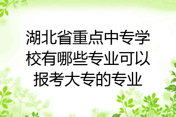 湖北省重点中专学校有哪些专业可以报考大专的专业