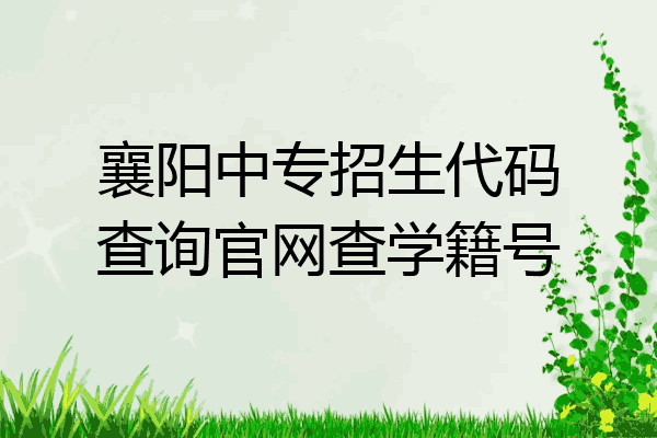 襄阳中专招生代码查询官网查学籍号