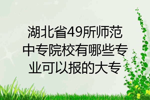 湖北省49所师范中专院校有哪些专业可以报的大专