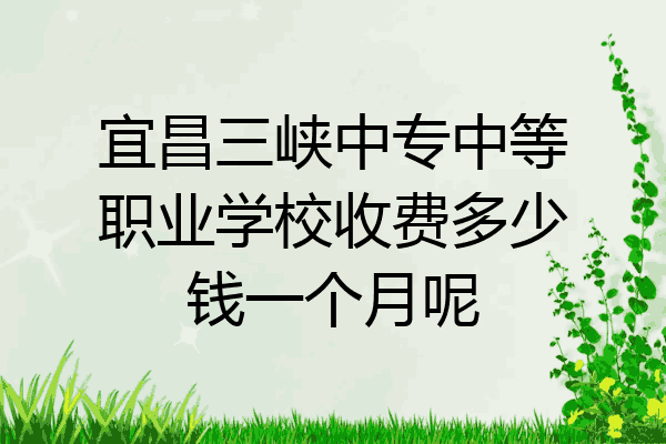宜昌三峡中专中等职业学校收费多少钱一个月呢