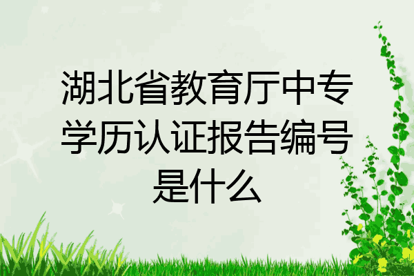 湖北省教育厅中专学历认证报告编号是什么