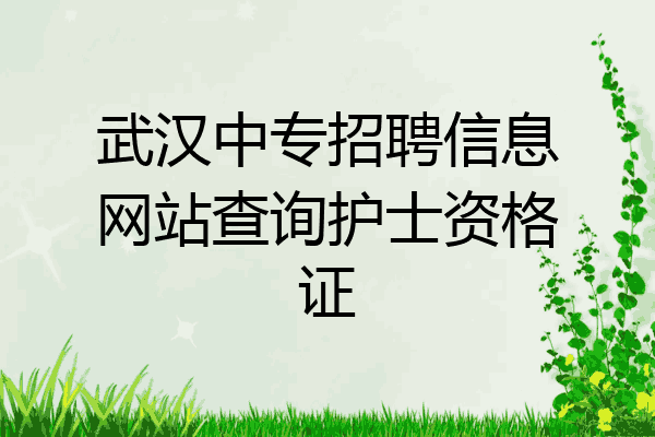 武汉中专招聘信息网站查询护士资格证