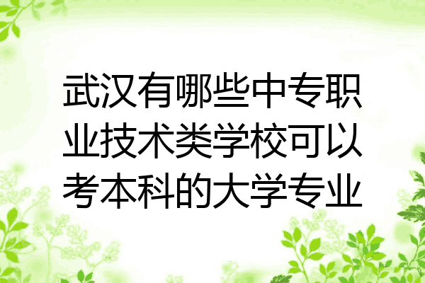 武汉有哪些中专职业技术类学校可以考本科的大学专业