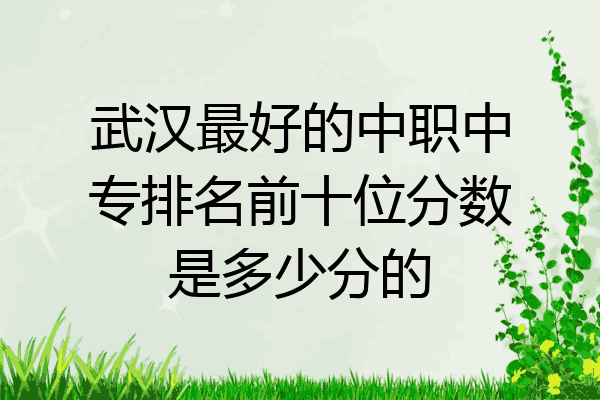 武汉最好的中职中专排名前十位分数是多少分的