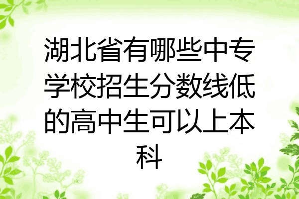 湖北省有哪些中专学校招生分数线低的高中生可以上本科