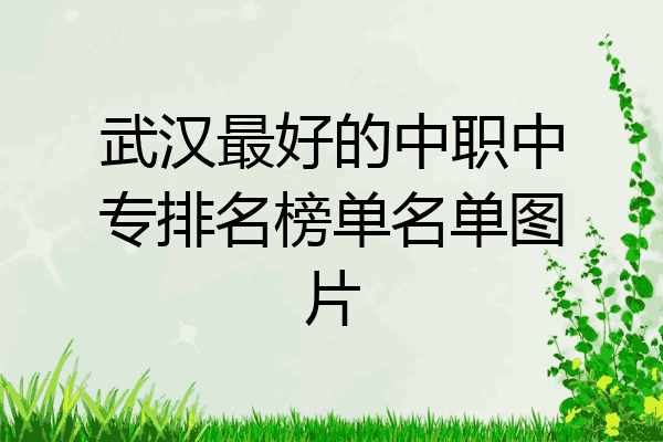 武汉最好的中职中专排名榜单名单图片