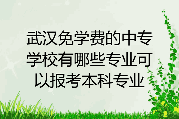 武汉免学费的中专学校有哪些专业可以报考本科专业