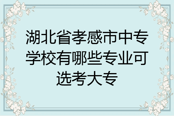 湖北省孝感市中专学校有哪些专业可选考大专