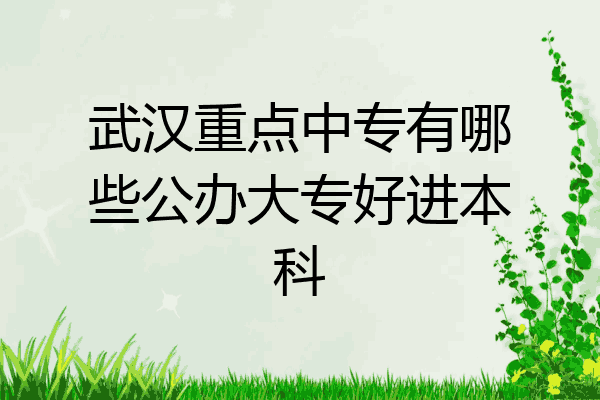 武汉重点中专有哪些公办大专好进本科