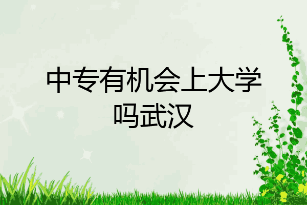中专有机会上大学吗武汉