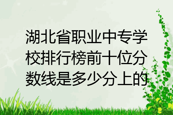 湖北省职业中专学校排行榜前十位分数线是多少分上的