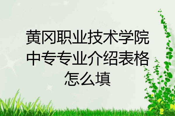 黄冈职业技术学院中专专业介绍表格怎么填