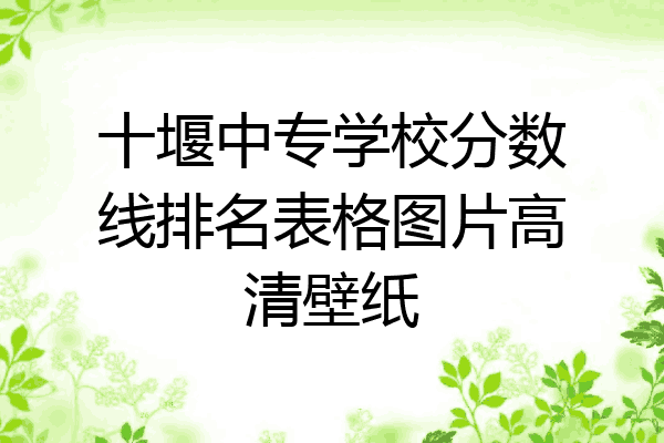 十堰中专学校分数线排名表格图片高清壁纸