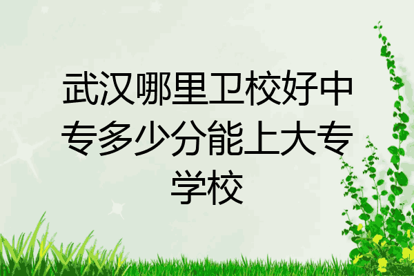 武汉哪里卫校好中专多少分能上大专学校