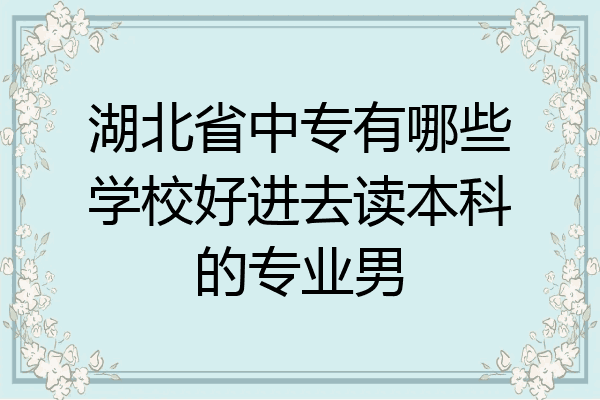 湖北省中专有哪些学校好进去读本科的专业男