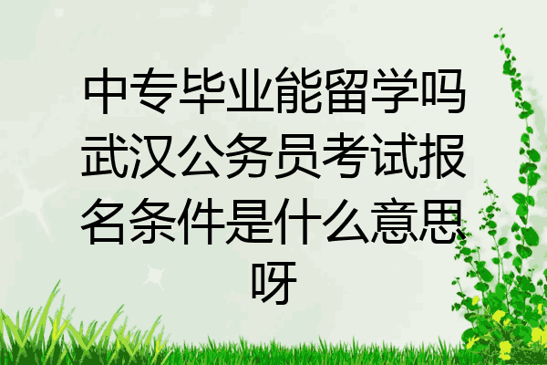 中专毕业能留学吗武汉公务员考试报名条件是什么意思呀