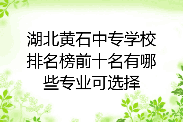 湖北黄石中专学校排名榜前十名有哪些专业可选择