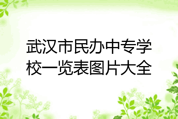 武汉市民办中专学校一览表图片大全